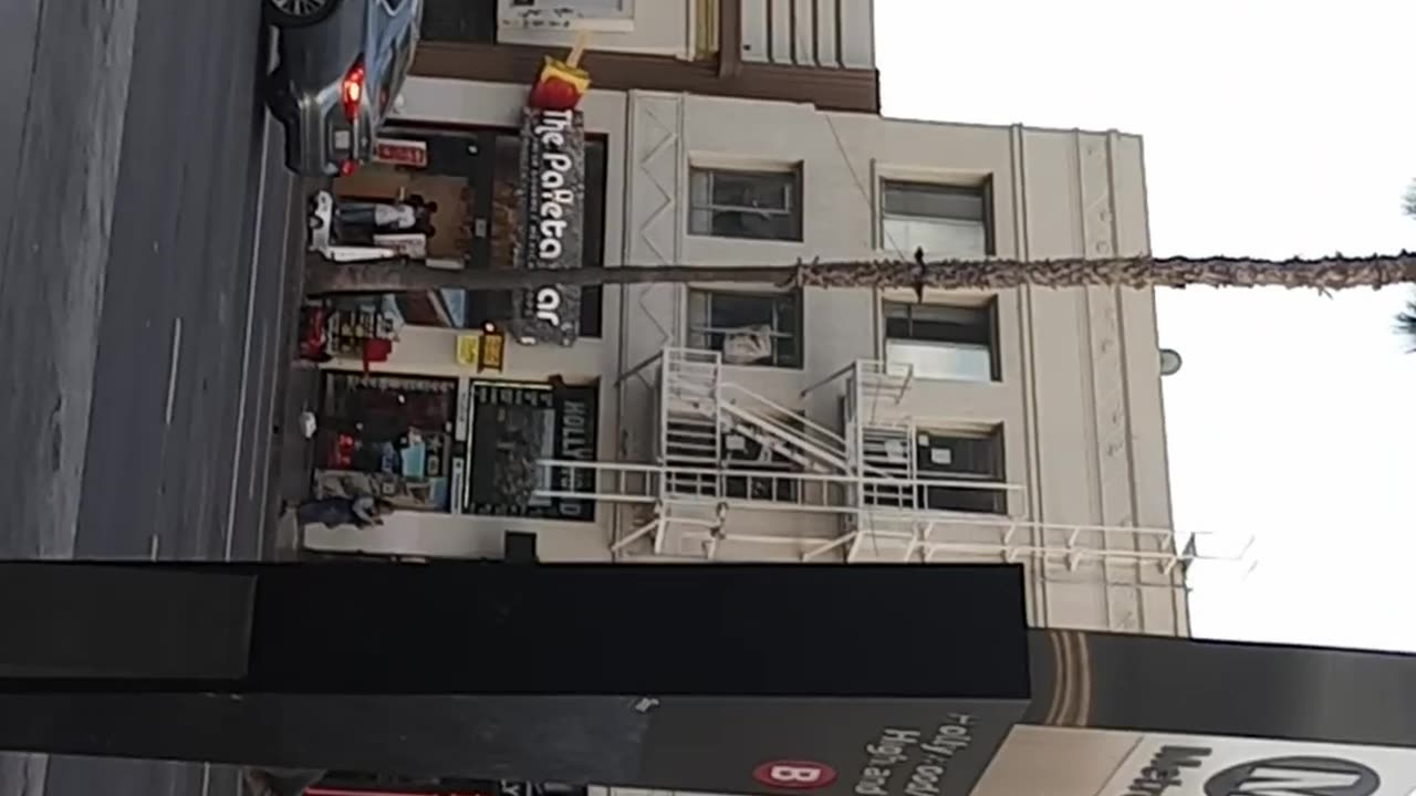 Hollywood Trip