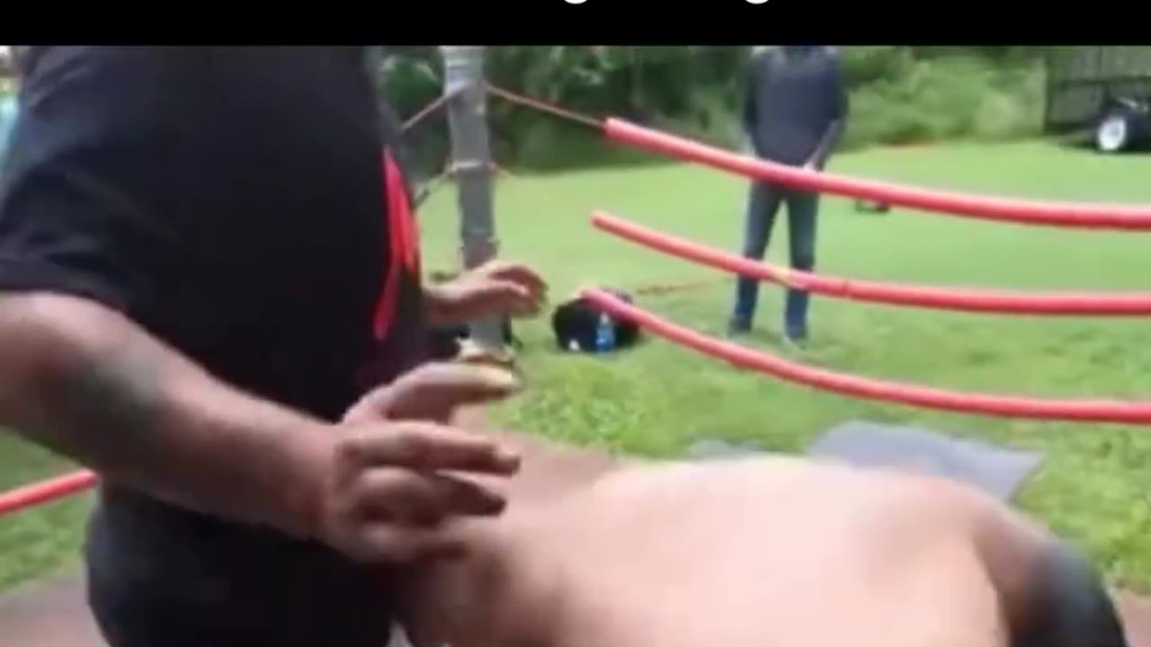 Backyard Brawlers KO