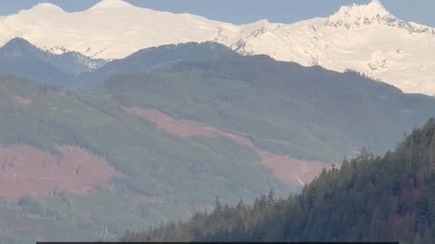 Daily Horoscope | Cancer 🌟