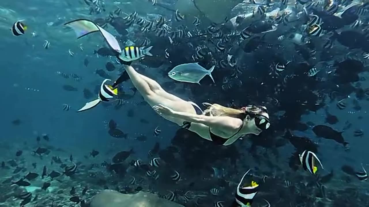 Peace Inside The Water