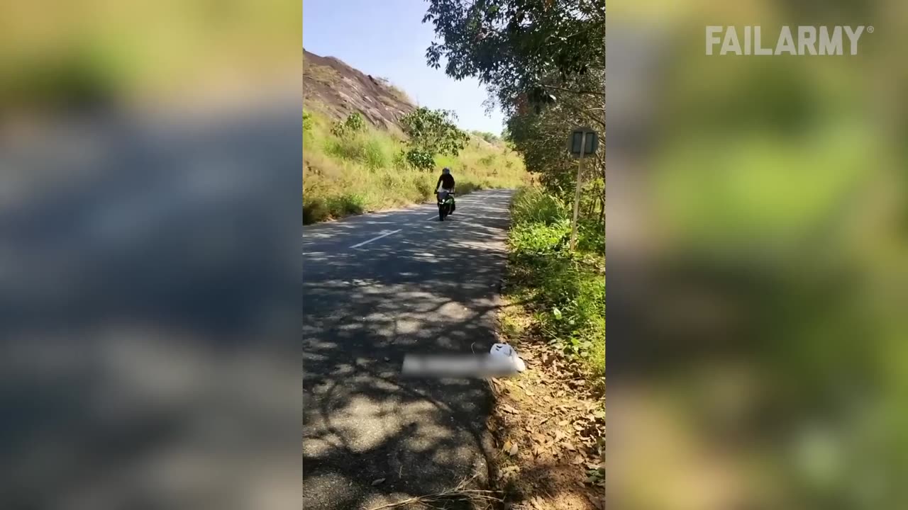 It Didn't Go How They Thought It Would // Expectation vs Reality