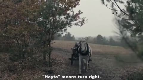 «Volhynia» Wolyn aka Hatred (2016) Drama - History - War