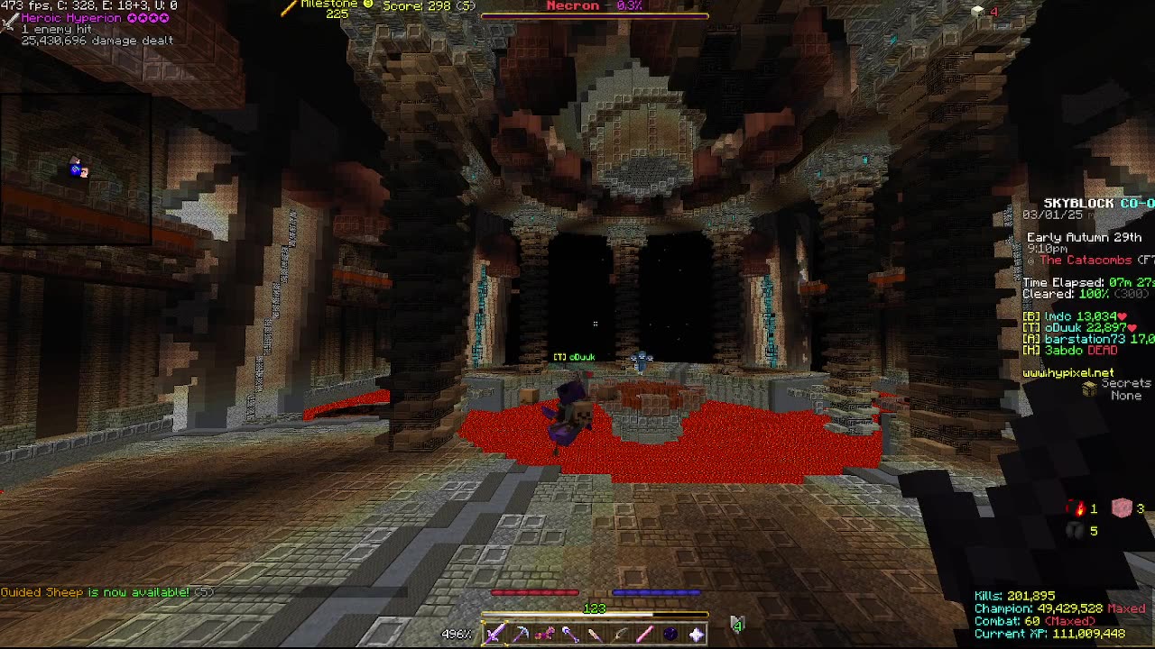 Skyblock FLOOR 7 [#1838]