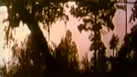 The Creature from Black Lake (1970's) 4k film