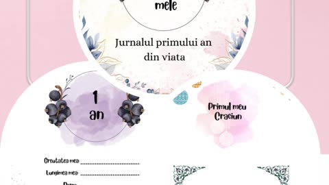 Povestea printesei mele: Primul an din viata