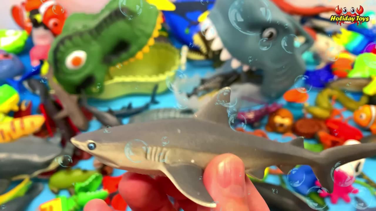 Sperm Whale Look for Hiding Places for Plankton to Lunch