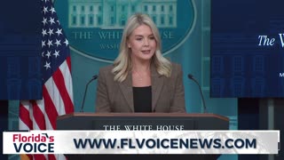 Leavitt DROPS THE MIC on a reporter, whose attempt to claim Trump is "weaponizing" the DOJ