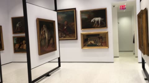 AKC Museum of the Dog 5 (Manhattan, 2019)