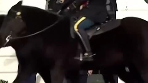 Trump Greets MBS in Grand White House Ceremony | Major Diplomatic Moment