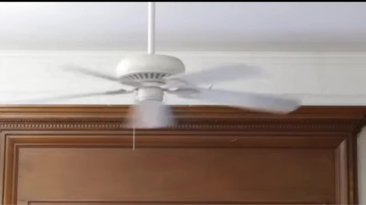 I.C.E. escapes the mob