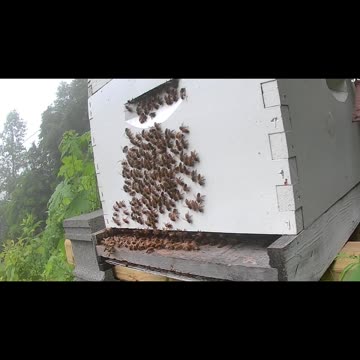 Monday Morning Sunrise