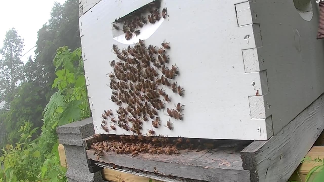 Monday Morning Sunrise