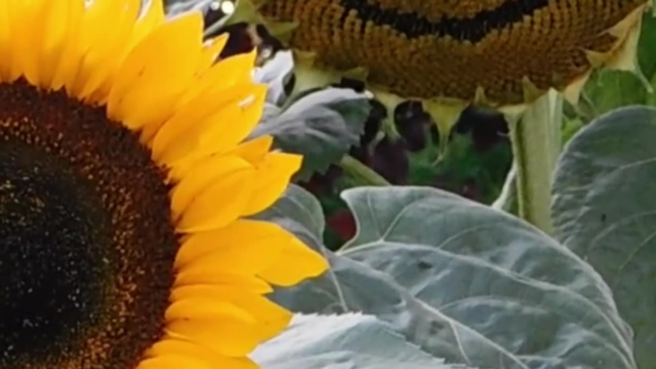 Don’t Get Easily Discouraged, Stay Strong and Safe