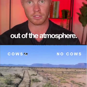 Cows are good for the planet