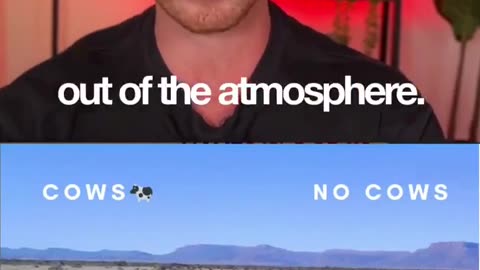 Cows are good for the planet