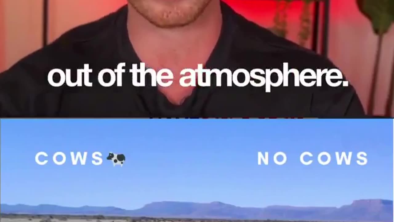 Cows are good for the planet