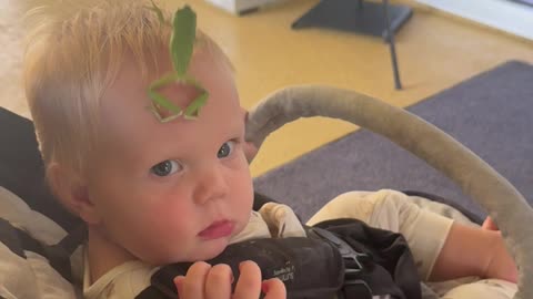 Baby Unbothered By Frog Jumping On Head