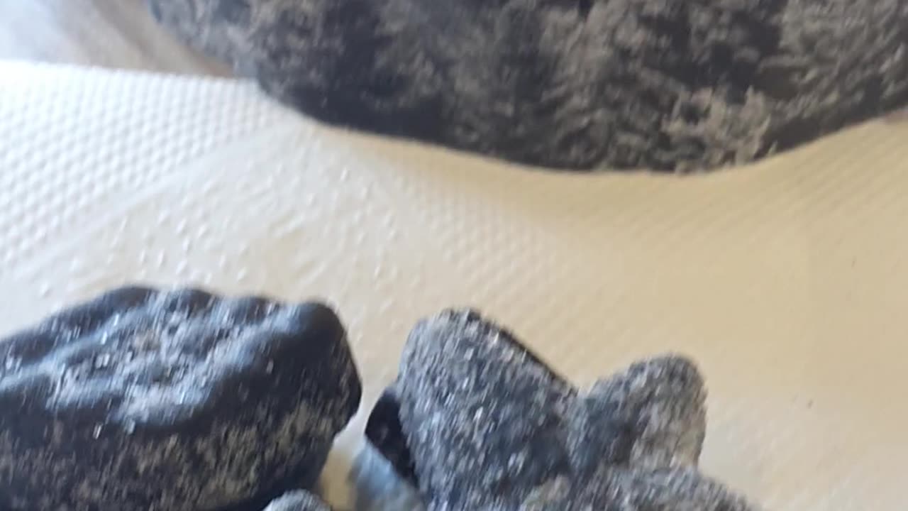 Salmiakki Nordic Liquorice