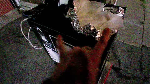 hamptonbrando_[IRL] The Hampton Brandon Show 🫡_20250724_235037