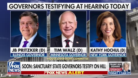 They are 'hiding their identity' for this reason: Representative Fallon