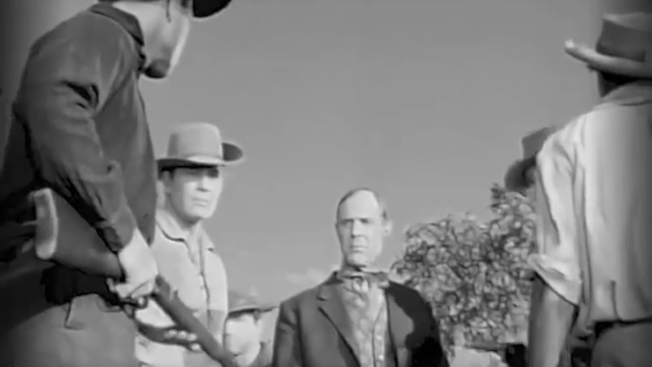 Whiplash Full - The Remittance Man