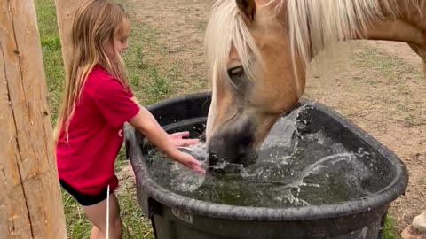 Splash Fighting With a Horse