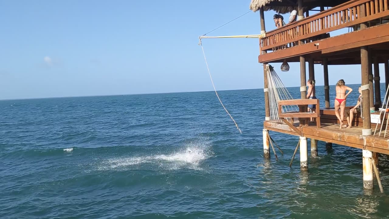 Rope Swing Gets Stuck During Backflip
