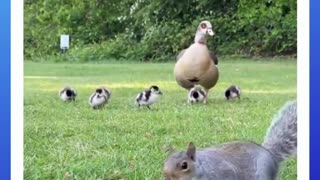 So much going on