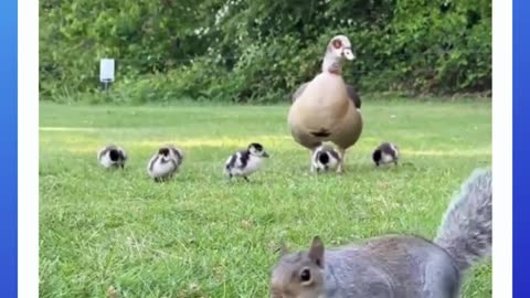 So much going on