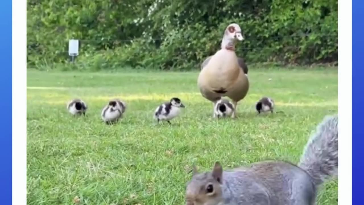 So much going on