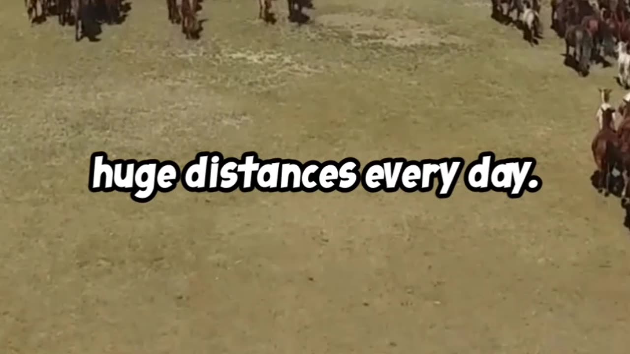 How Genghis Khan's Horses Conquered the World