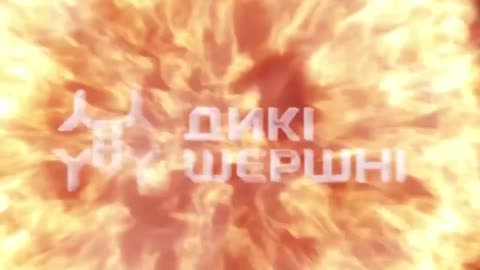 🚁🔥 Ukraine Russia War | Wild Hornets Drones Destroy Russian Infantry Dugout at Night | RCF