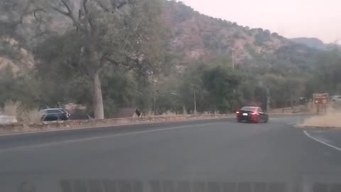 Shia, video recorded 7:55 PM August 9, '25 by Alyssa Sequoia National Park, in California