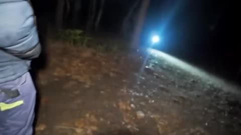🌲😬 1 Hour of Camping Encounters That’ll Haunt You Forever 🔦👀