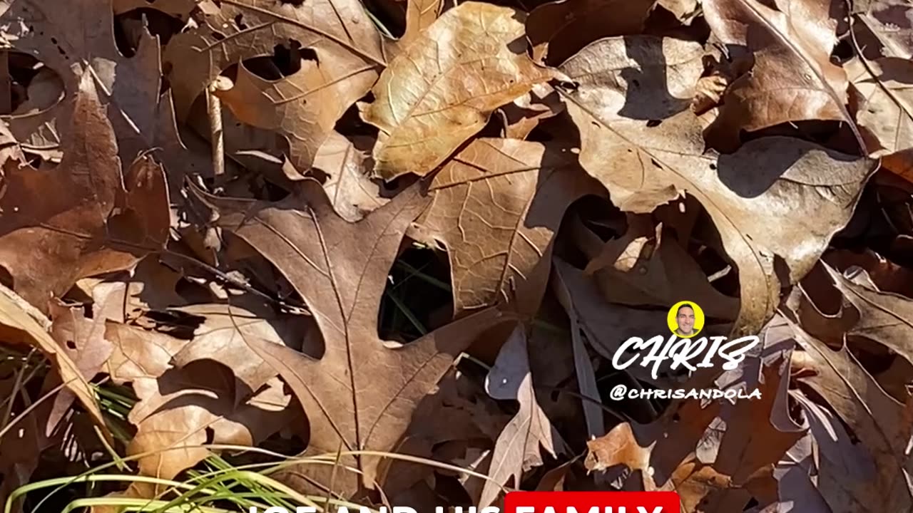 DOES A SNAKE SLITHERING GIVE YOU TINGLES?