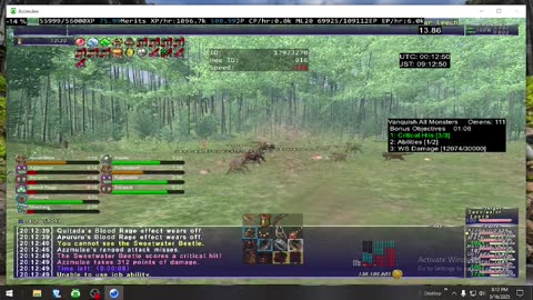 Playing Final Fantasy XI Online