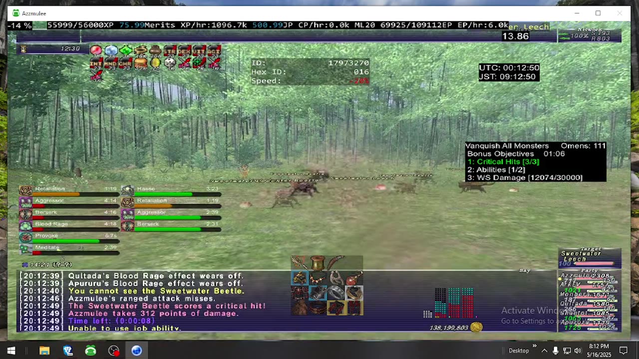 Playing Final Fantasy XI Online