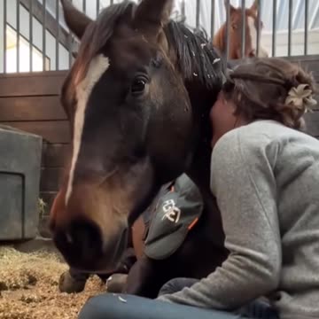 Best animals fart ! #fart #compilation