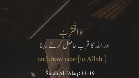 Surat Alaq (Verse: 14-19) #allah #muhmmadﷺ #quran #islam