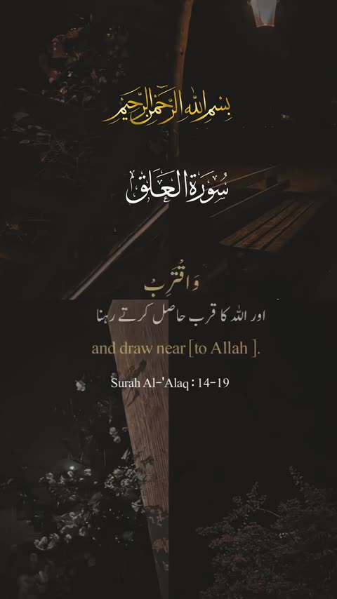 Surat Alaq (Verse: 14-19) #allah #muhmmadﷺ #quran #islam