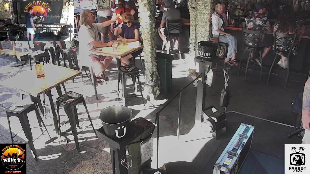 LIVE Music Everyday!