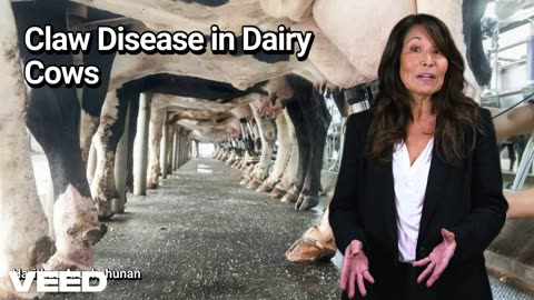Claw Disease in Cows: Unveiling the Genetic Roots Behind Hoof Health