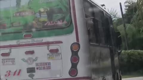 Dog Reaches for Twigs Out the Window