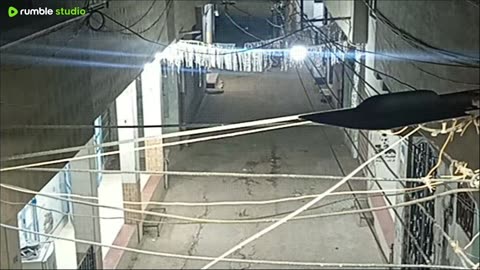 على المباشر