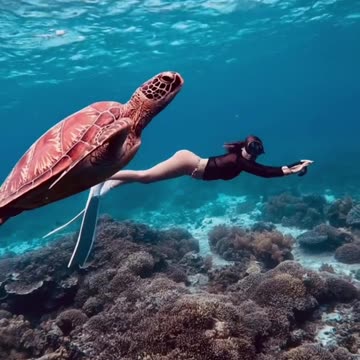 Panglao Bohol Freediving: Navigating Crystal Systems and Reef Networks in the Heart of the Visayas