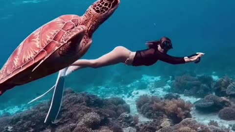 Panglao Bohol Freediving: Navigating Crystal Systems and Reef Networks in the Heart of the Visayas