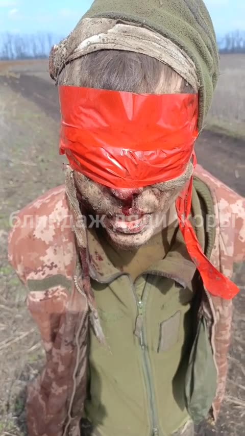 Ukraine war combat footage 8/6/25