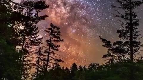 Beauty of Nature