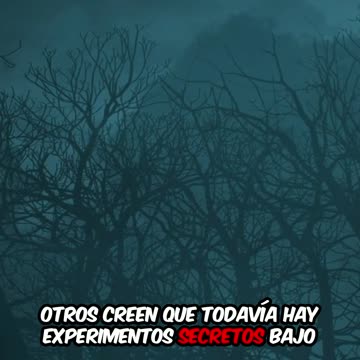 👁️‍🗨️ ¿Ocultaron un ser no humano en Brasil? El misterio de Varginha