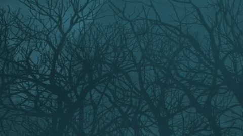 👁️‍🗨️ ¿Ocultaron un ser no humano en Brasil? El misterio de Varginha